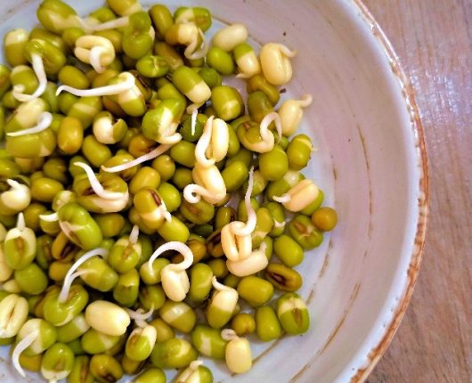 Como fazer grãos germinados (e por que fazê-los!)