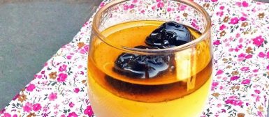 Manjar branco de coco com calda de ameixas