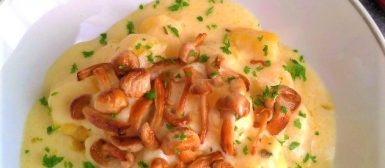 Nhoque de mandioquinha com creme de queijos e cogumelos