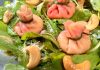 Trouxinhas de carpaccio com creme de ricota e alcaparras