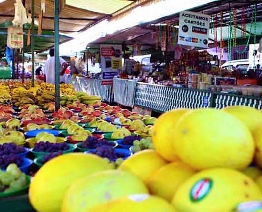 Dicas da Nutri: um incentivo para ir a feiras livres