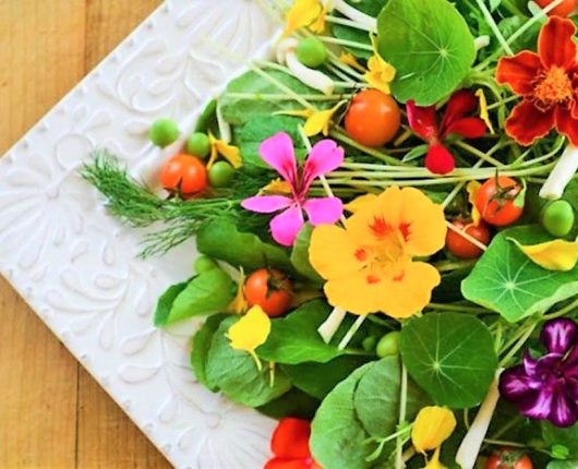 Dica da Nutri: aprenda a usar flores comestíveis