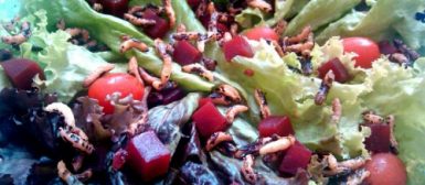 Salada colorida com crocante de arroz selvagem