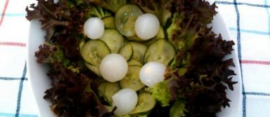 Salada com pepino e conserva de cebolinhas